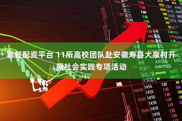 彩虹配资平台 11所高校团队赴安徽寿县大泉村开展社会实践专项活动
